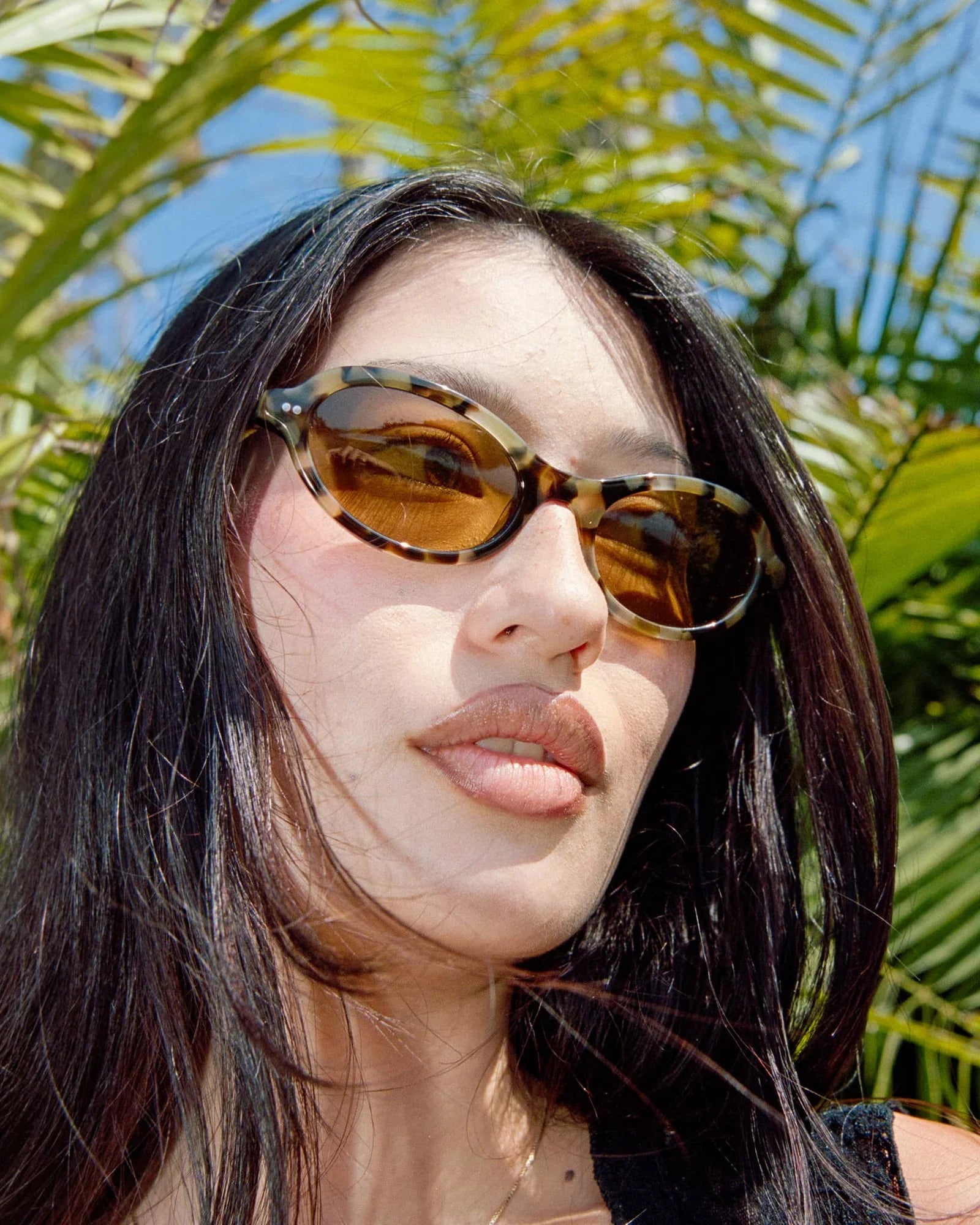 The MARQUEE ROX (Jaguar Tortoise Bio / Polarized Mustard)