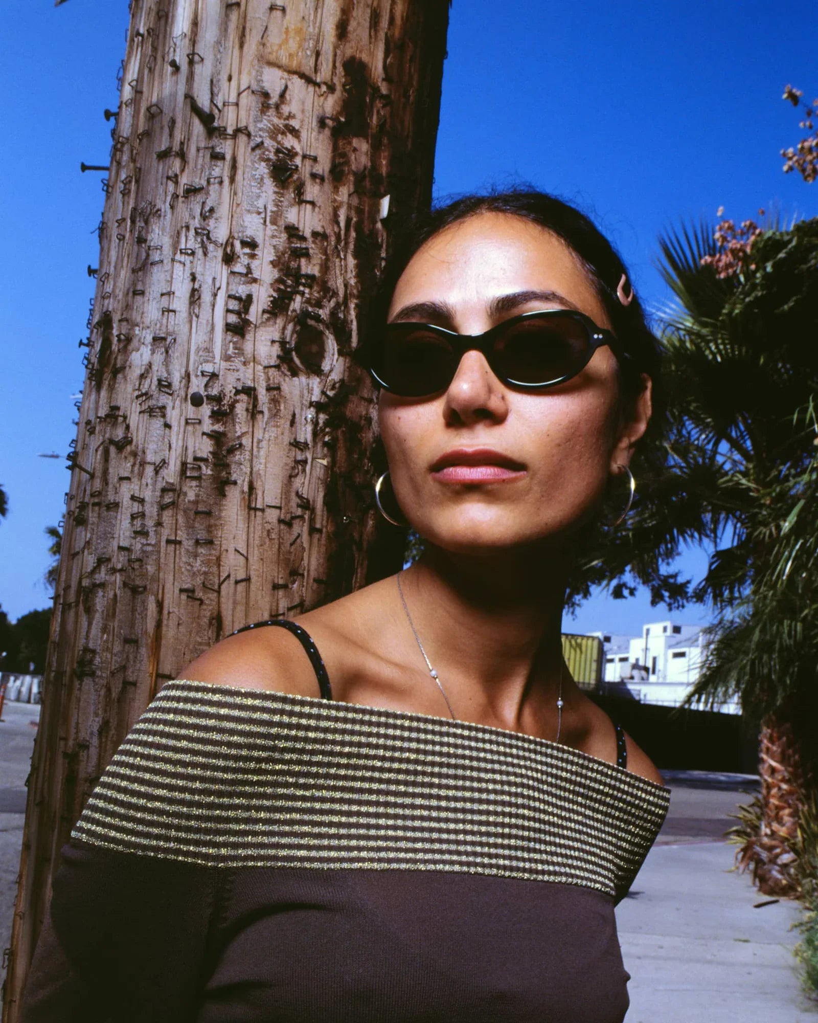 The MARQUEE ROX (Midnight Forest Bio / Polarized Smoke)